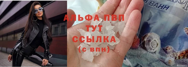 прущие грибы Волосово