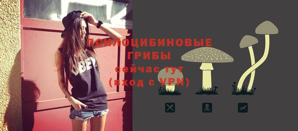 прущие грибы Волосово