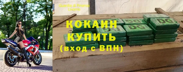 прущие грибы Волосово