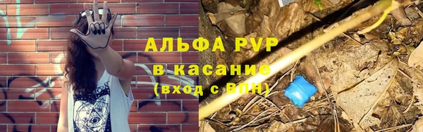 прущие грибы Волосово