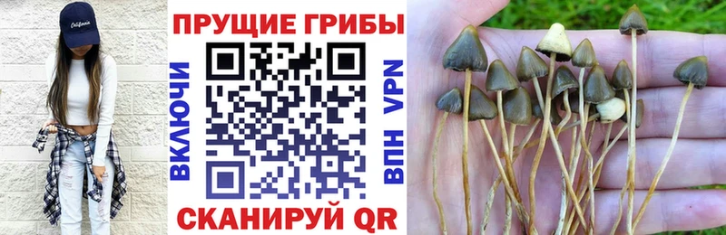 omg ONION  площадка как зайти  Псилоцибиновые грибы прущие грибы  Энгельс 